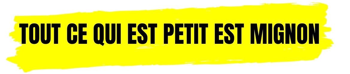 Book: Tout ce qui est petit est mignon