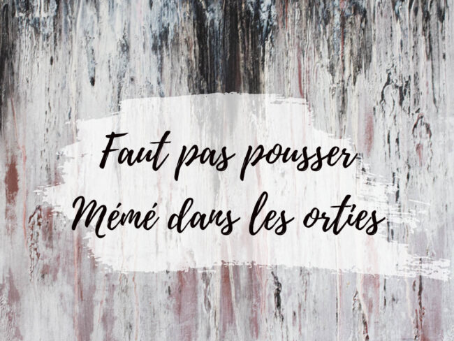 Série N°6: Faut pas pousser mémé dans les orties